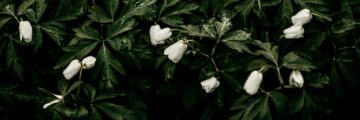 Flowers in a pile