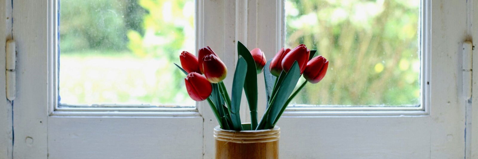 Tulips on windowsil