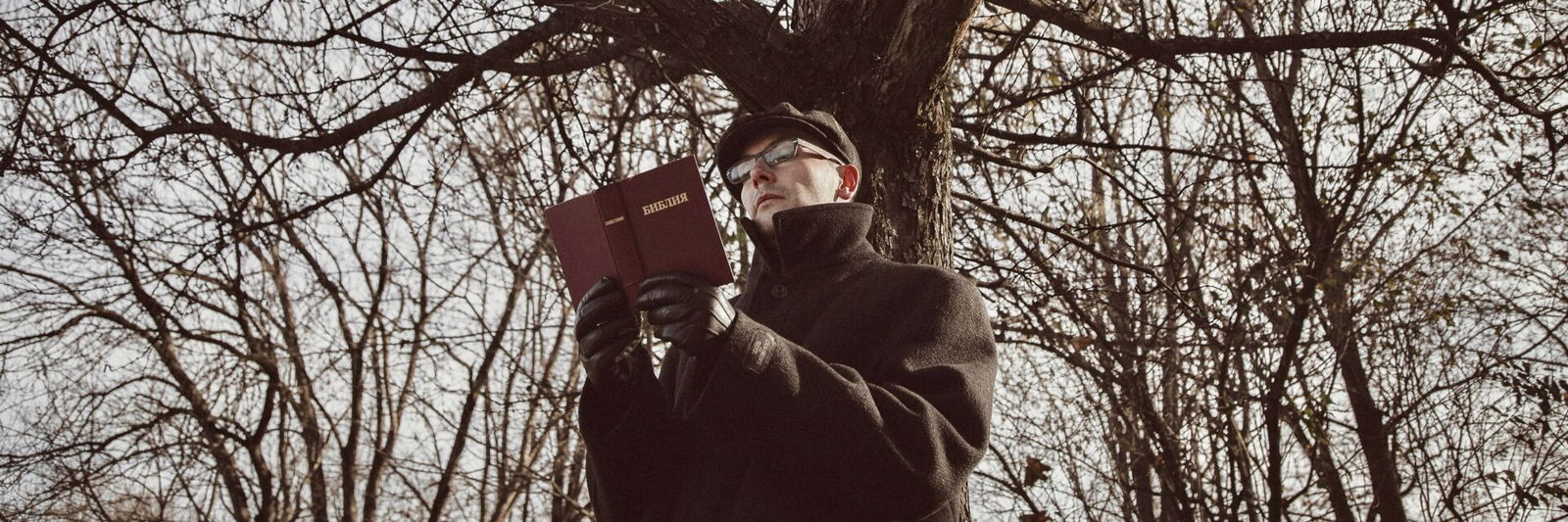Person reading poetry under tree