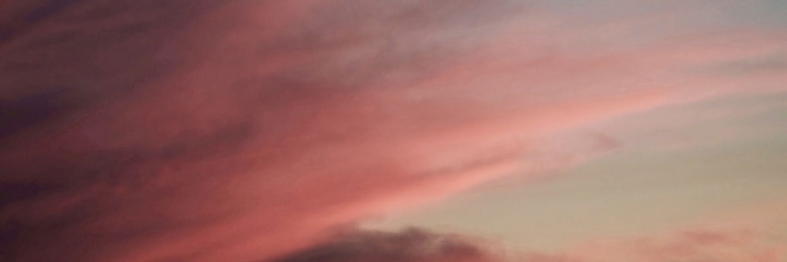 Sunset pinks