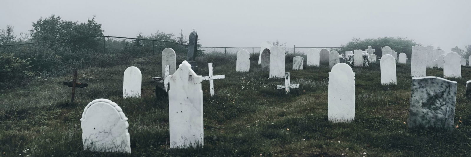 Cemetery with graves fog