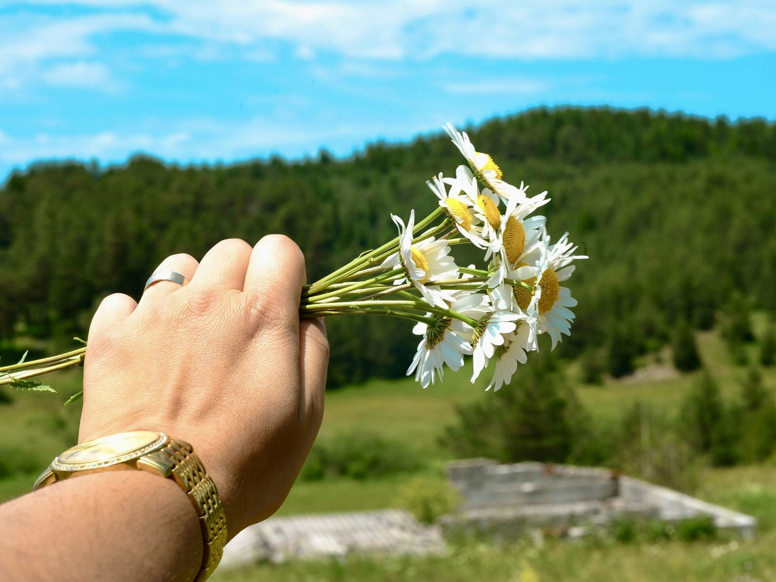 Holding out bunch of flowers