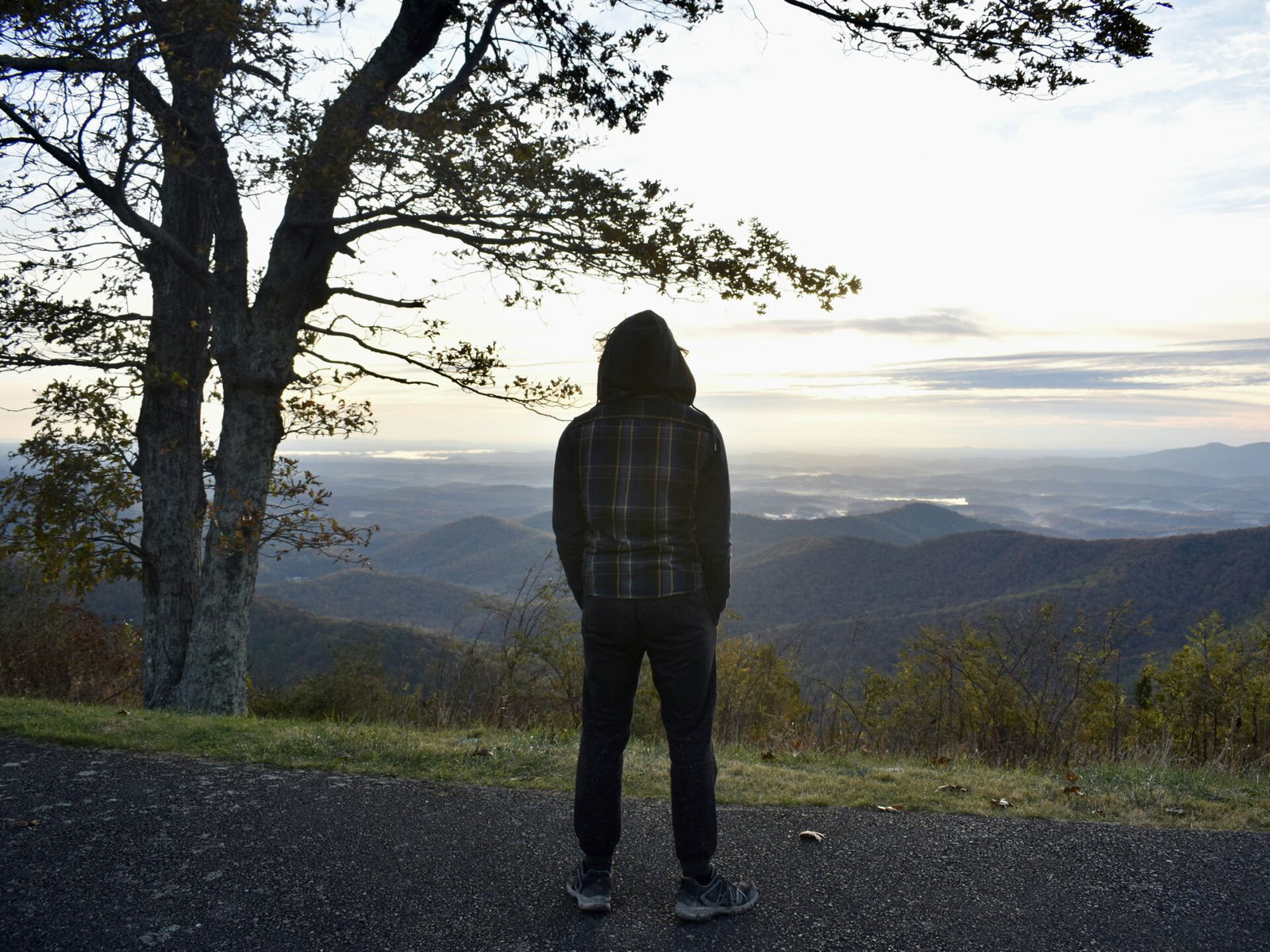 Contemplating looking out